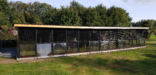 Savannah Cattery Nevasirags